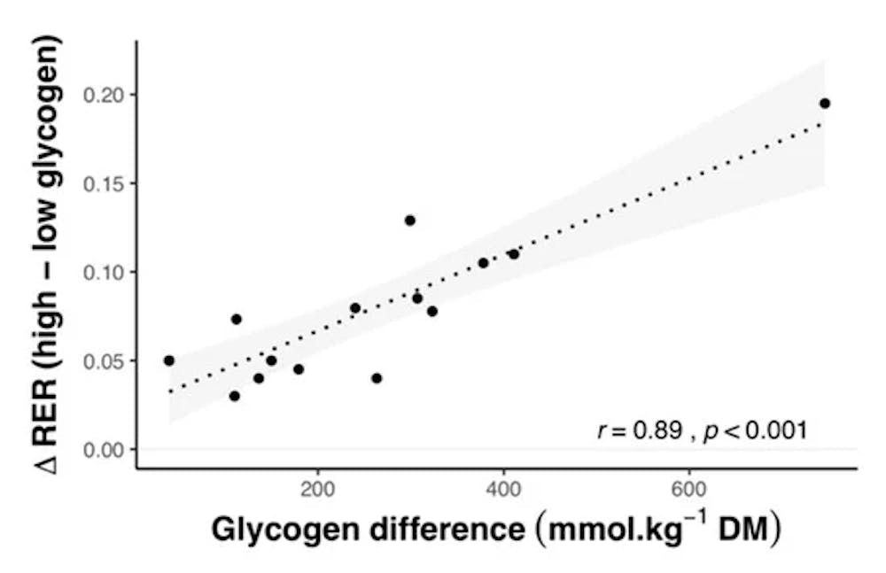 Διατροφή πριν από την προπόνηση αντοχής-Όλα όσα πρέπει να γνωρίζετε μέσα από 165 έρευνες (Μέρος Α’) runbeat.gr